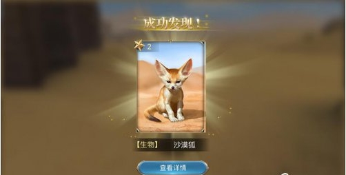 大航海之路