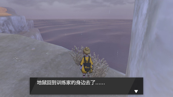 精灵宝可梦剑盾