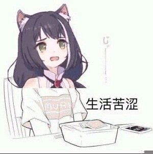 公主连结
