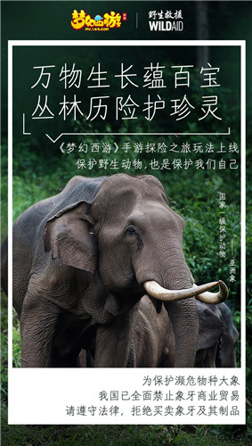 守望生灵!《梦幻西游》手游携手WildAid打造野生动物保护新玩法