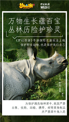 守望生灵!《梦幻西游》手游携手WildAid打造野生动物保护新玩法