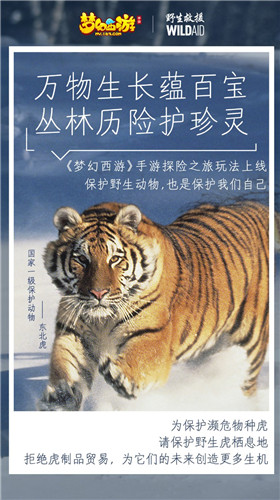 守望生灵!《梦幻西游》手游携手WildAid打造野生动物保护新玩法