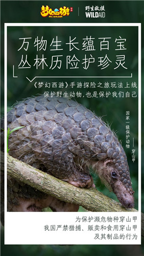 守望生灵!《梦幻西游》手游携手WildAid打造野生动物保护新玩法