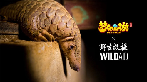守望生灵!《梦幻西游》手游携手WildAid打造野生动物保护新玩法