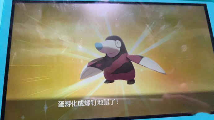 精灵宝可梦剑盾