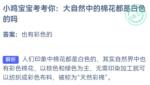 小鸡宝宝考考你大自然中的棉花 9.19小鸡宝宝考考你答案