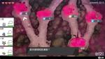 宝可梦剑盾冠之雪原传奇宝可梦捕捉方法