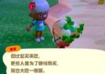 动物之森大头菜怎么得