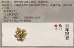 江南百景图百年银杏作用是什么