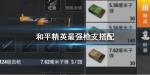 和平精英枪支怎么搭配
