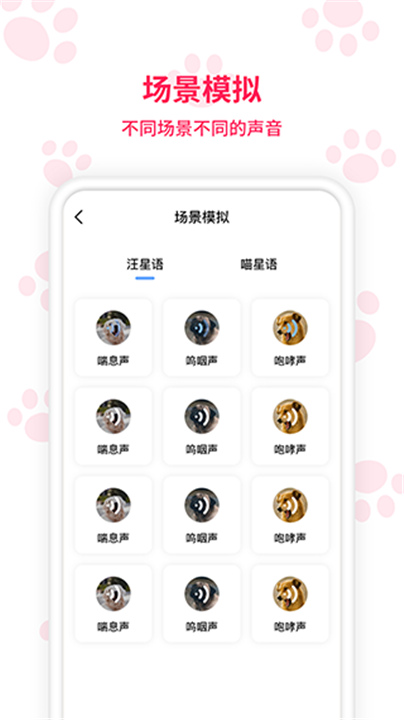 动物翻译器软件截图