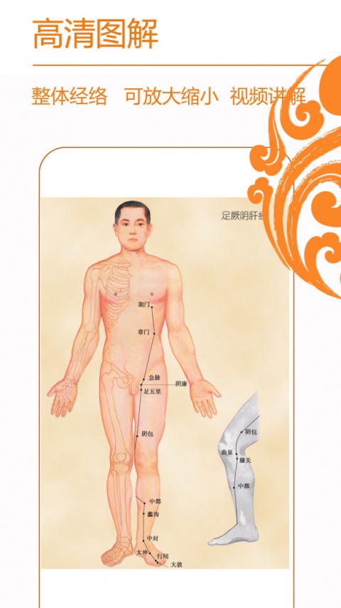 经络养生手机版截图