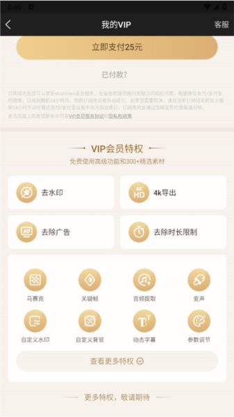 VivaVideo国际版截图