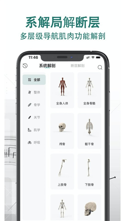 掌上3D解剖截图