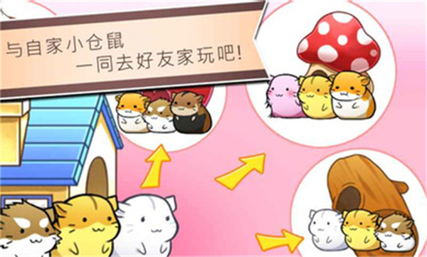 仓鼠的日常生活截图
