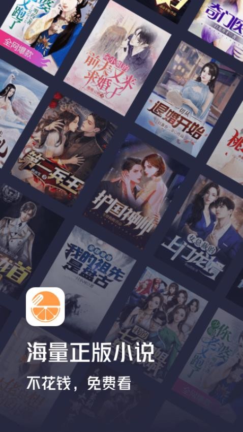 青橙小说app截图