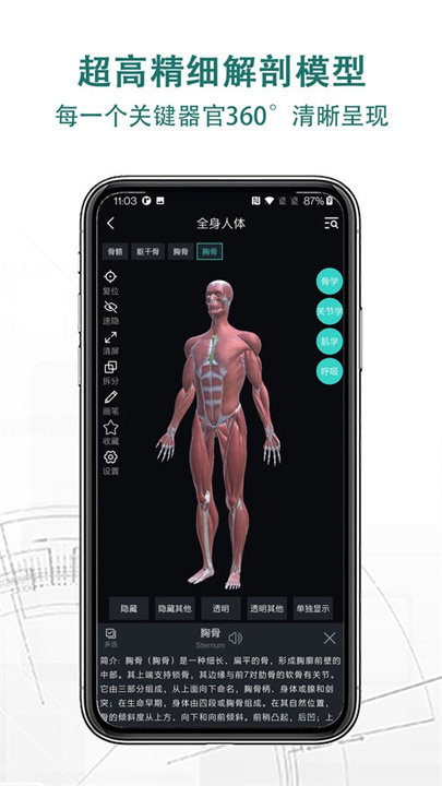 掌上3D解剖截图