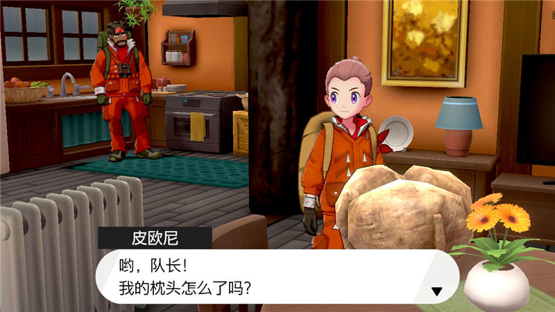 精灵宝可梦剑盾