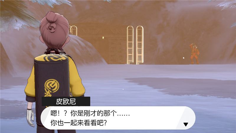 精灵宝可梦剑盾