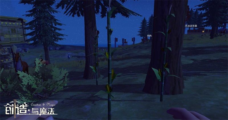 创造与魔法