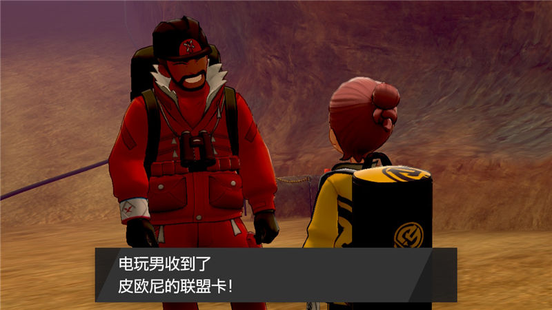精灵宝可梦剑盾