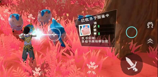 创造与魔法