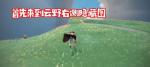 光遇圣岛地图怎么进
