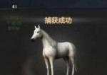 明日之后利皮札马刷新位置一览