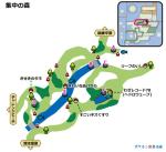 宝可梦剑盾专注之森极巨巢穴位置与可捕捉宝可梦