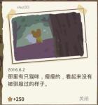 动物餐厅海德薇怎么放东西星星多